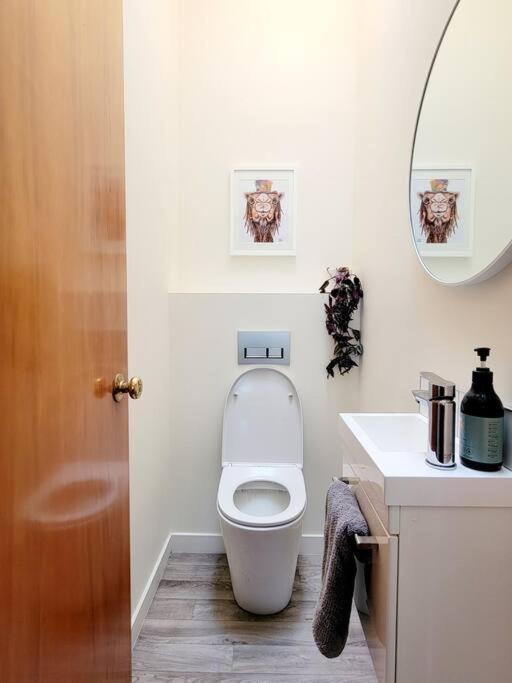 Hagley Park Townhouse Villa Christchurch Bagian luar foto